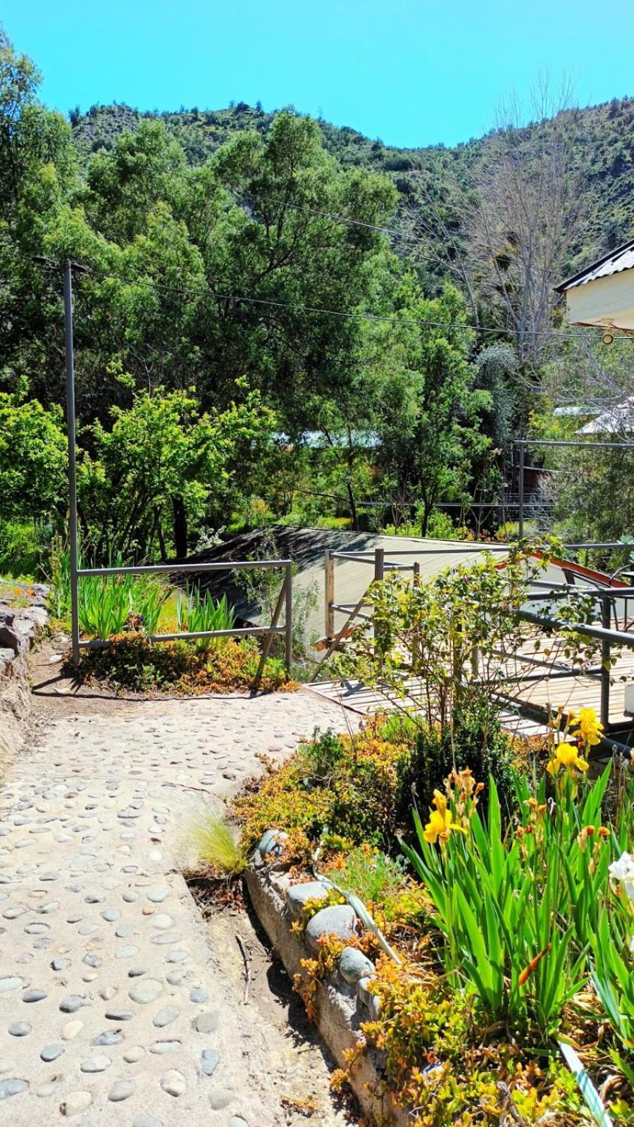 Hostal Los Penones San Alfonso Exterior photo